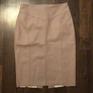Express bodycon skirt